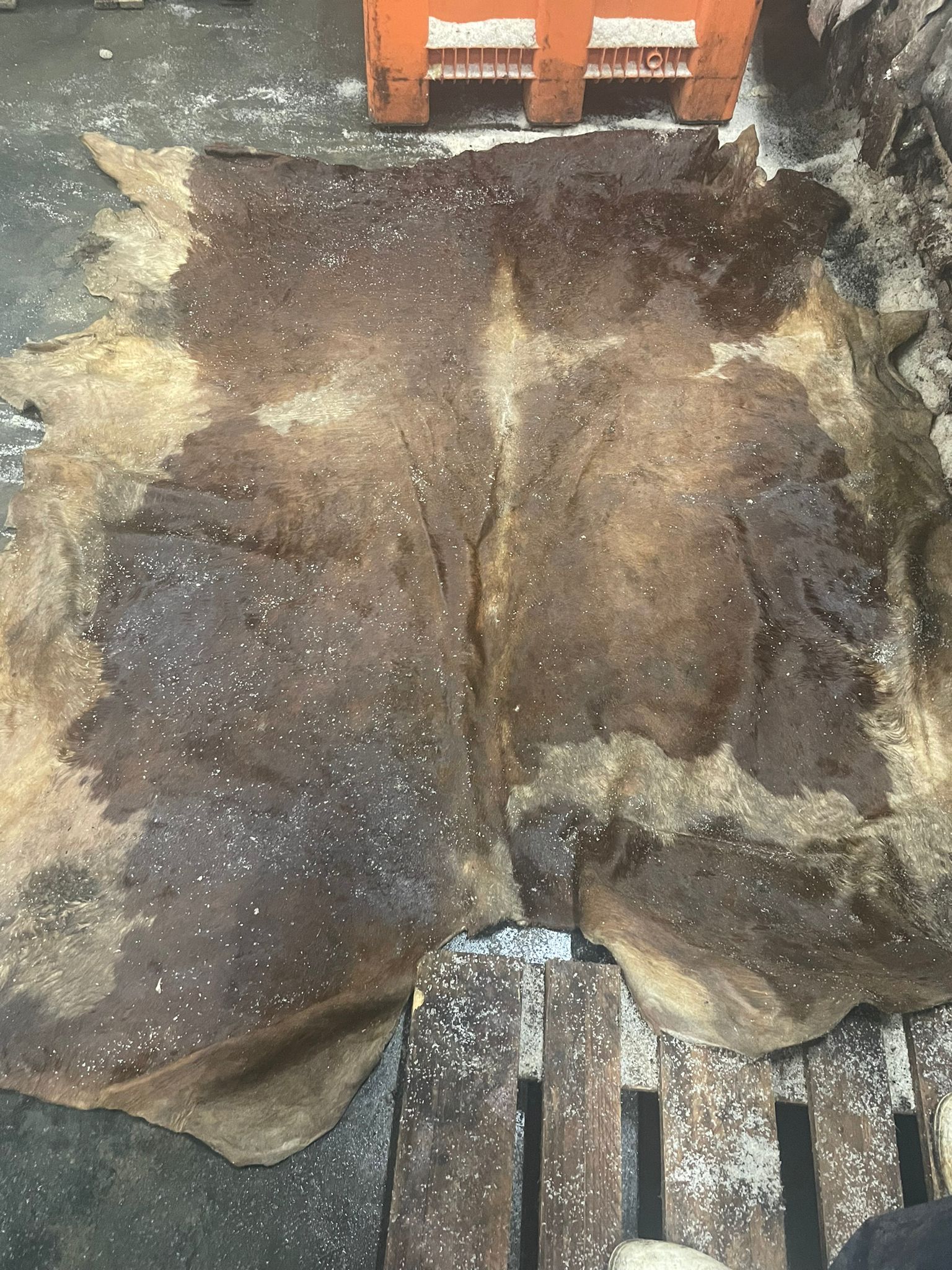 You are currently viewing Wet Salted Bovine Hides – Bulgaria